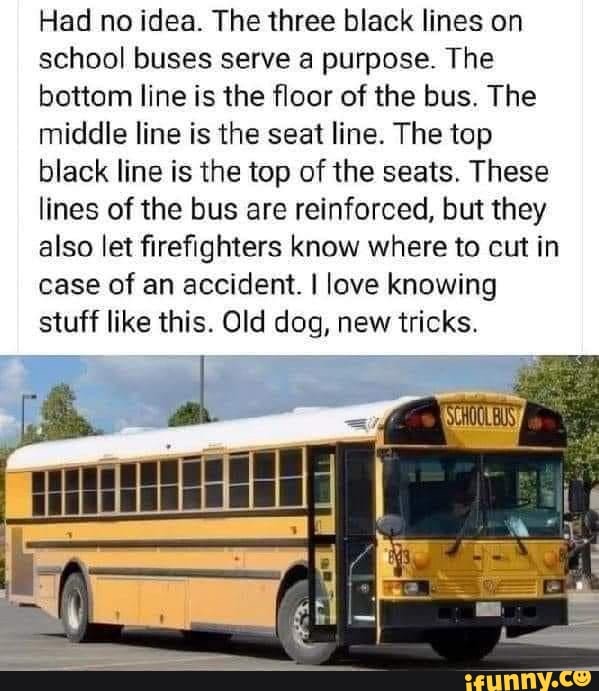 Had no idea. The three black lines on school buses serve a purpose. The ...