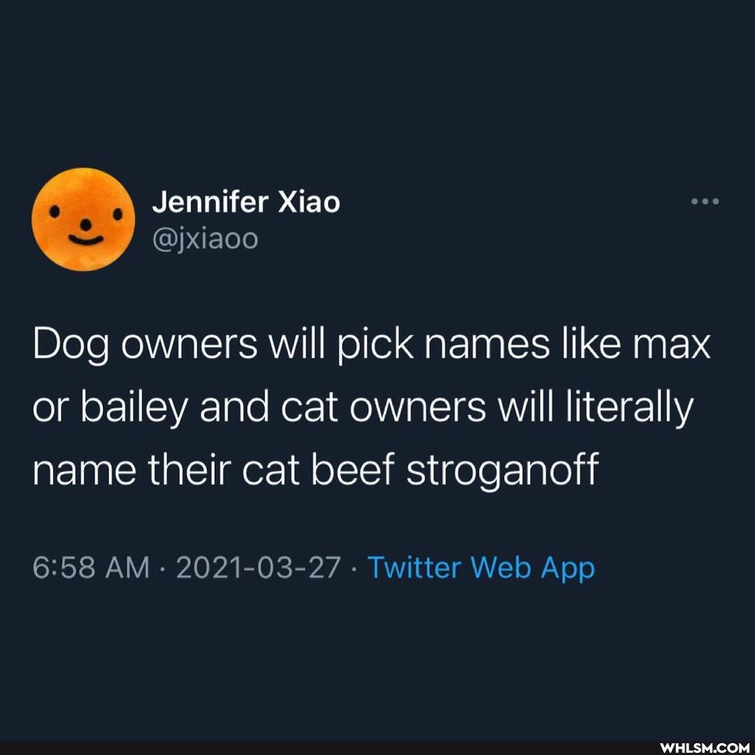 Jennifer Xiao
@jxiaoo
Dog owners will pick names like max or bailey and cat owners will literally name their cat beef stroganoff