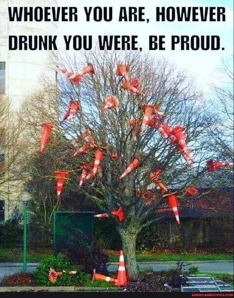 WHOEVER YOU ARE, HOWEVER
DRUNK YOU WERE, BE PROUD.