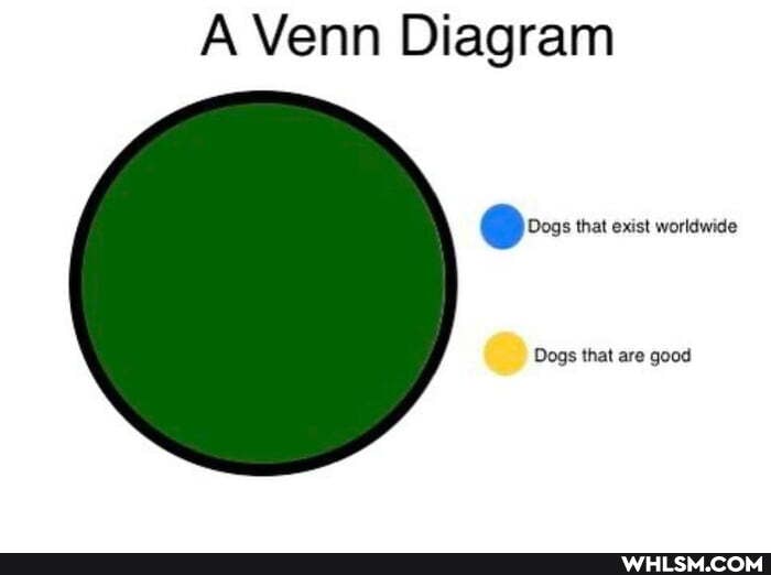 A Venn Diagram
Dogs that exist worldwide
Dogs that are good