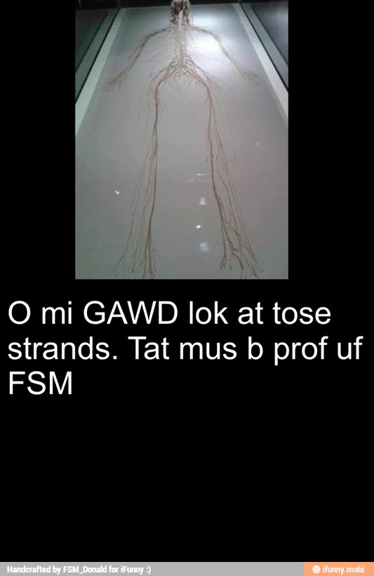 O mi GAWD lok at tose
strands. Tat mus b prof uf
