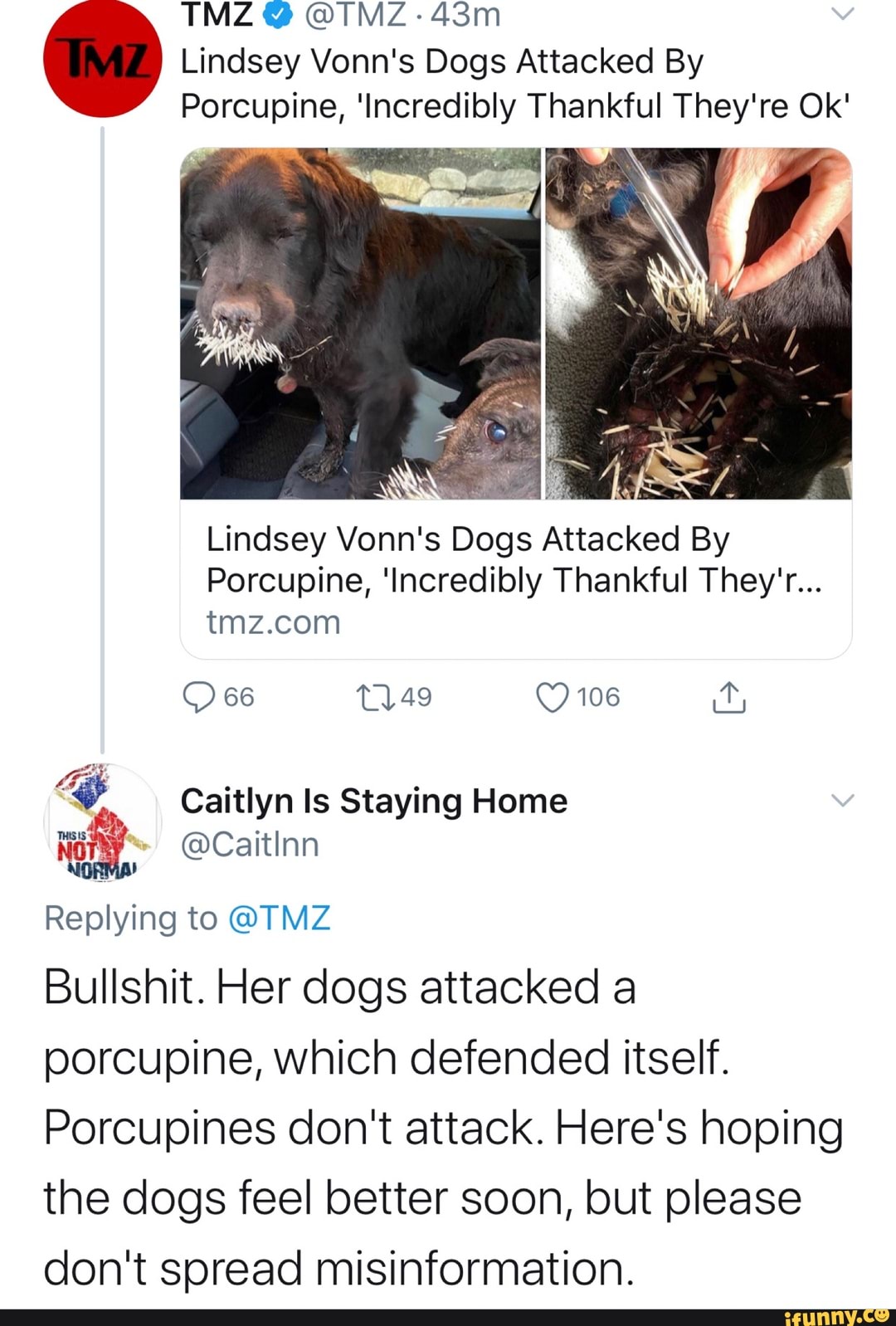 TMZ @ @TMZ-
Lindsey Vonn's Dogs Attacked By
Porcupine, 'Incredibly Thankful They're Ok'
Lindsey Vonn's Dogs Attacked By
Porcupine, 'Incredibly Thankful They'r...
66 106
Caitlyn Is Staying Home
@CaitInn
Replying to @TMZ
Bullshit. Her dogs attacked a porcupine, which defended itself.
Porcupines don't attack. Here's hoping the dogs feel better soon, but please don't spread misinformation.