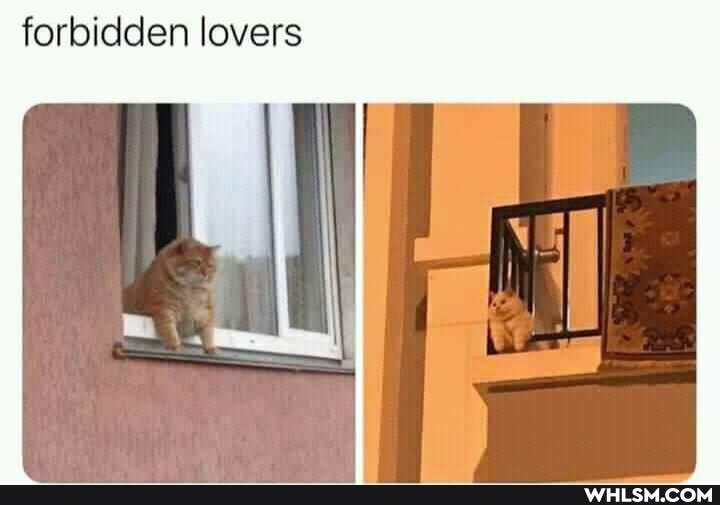 forbidden lovers