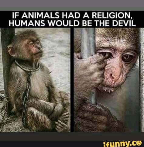 IF ANIMALS HAD A RELIGION, HUMANS WOULD BE THE DEVIL 