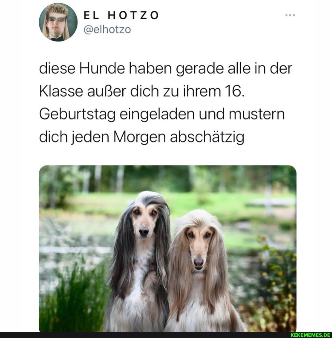 EL HOTZO
diese Hunde haben gerade alle in der
Klasse außer dich zu ihrem 16.
Geburtstag eingeladen und mustern dich jeden Morgen abschätzig