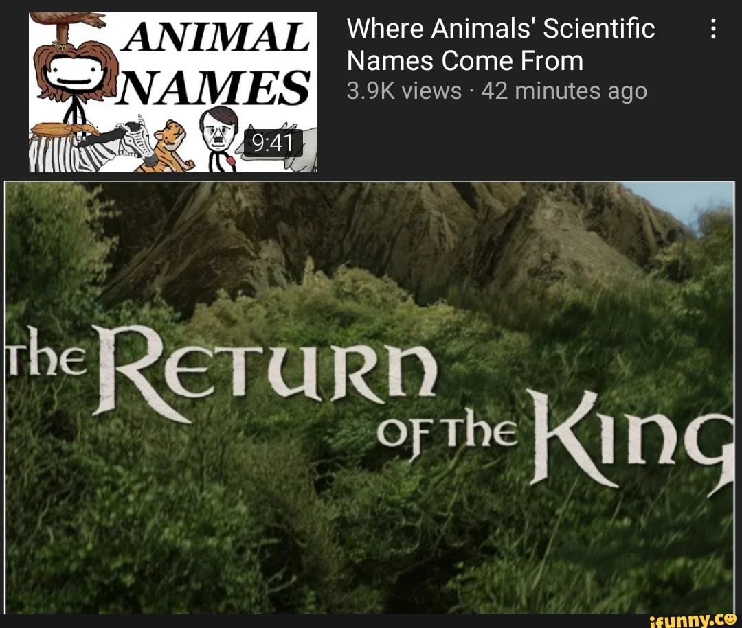 animal-names-where-animals-scientific-names-come-from-3-9k-views-42