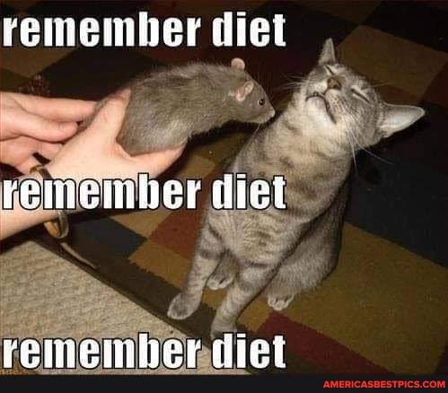 remember diet
remember diet
ramambear diat