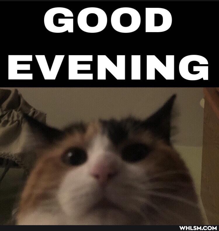 GOOD EVENING