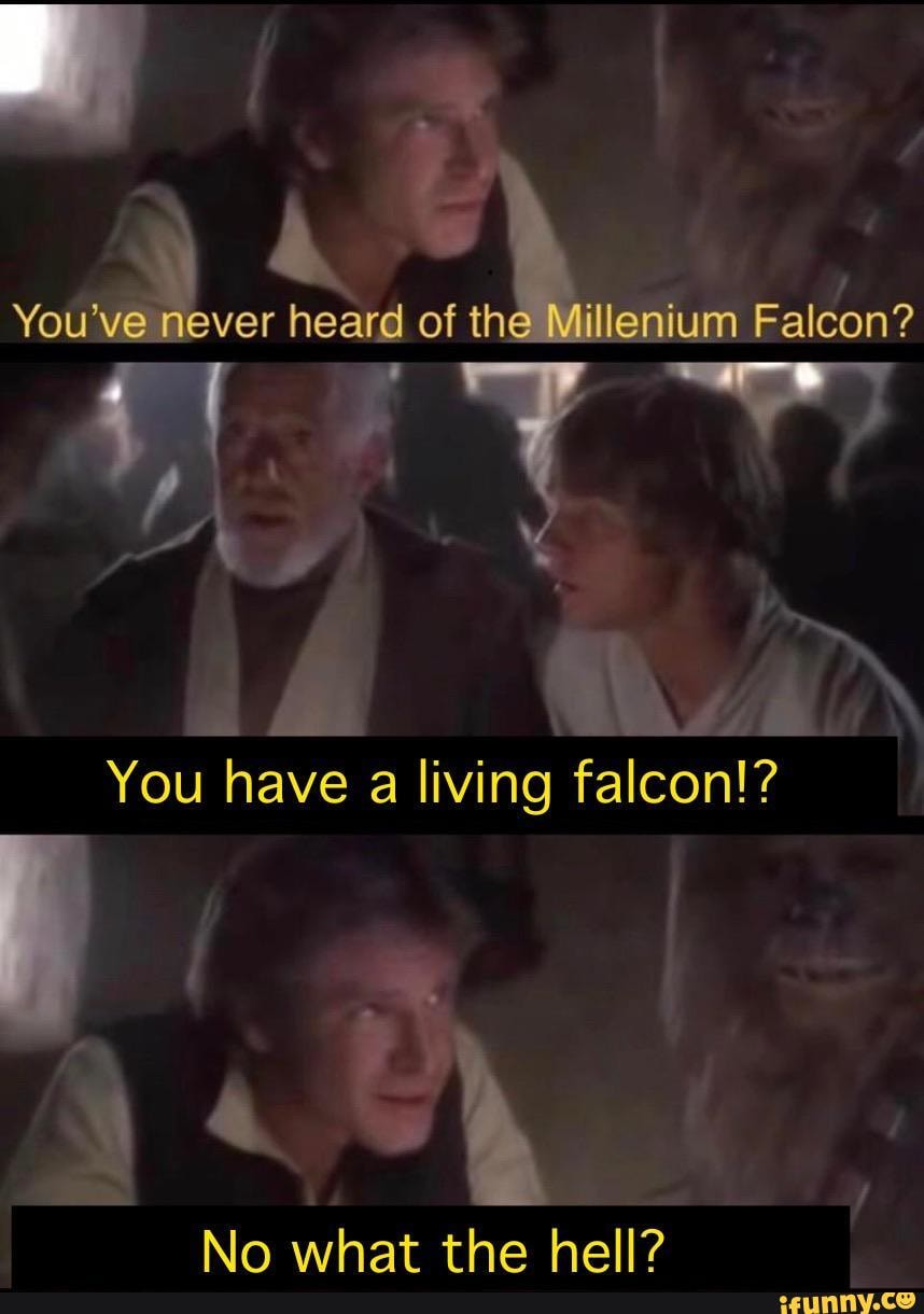 of th Falcon?
14 @ia
You have a living falcon!?
No what the hell?