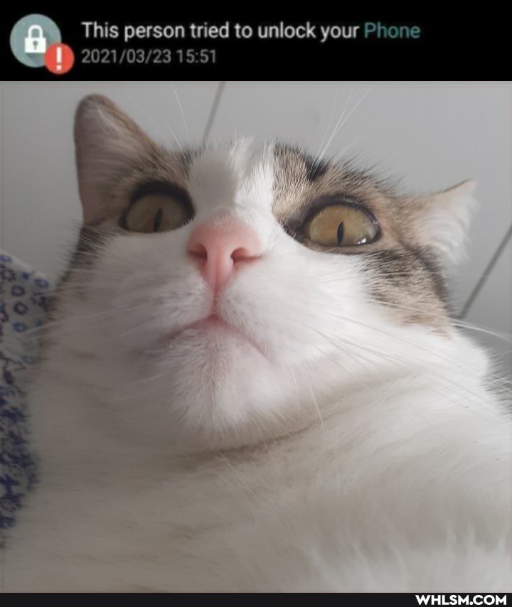 This person tried to unlock your Phone
15 51