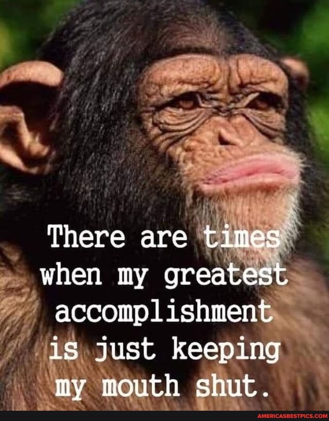 There are times when my greatest accomplishnent is just keeping my mouth shut.