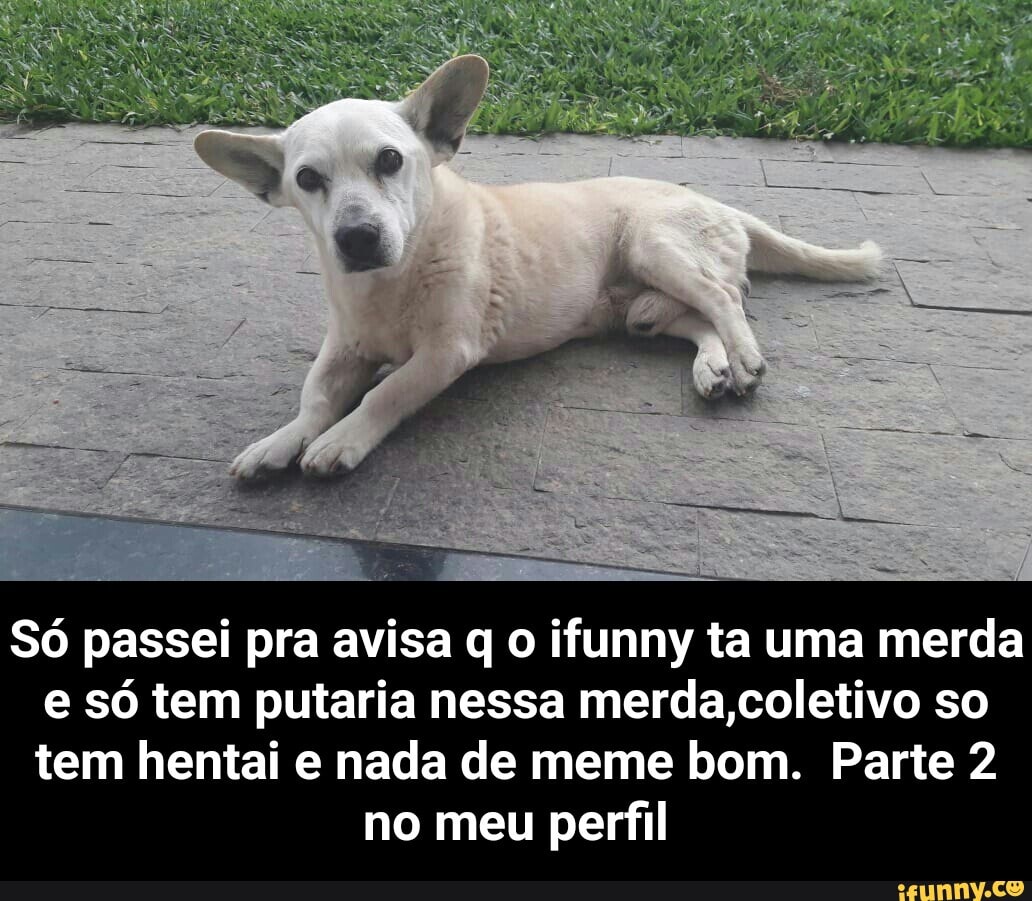 ERO
Só passei pra avisa q o ifunny ta uma merda e só tem putaria nessa merda,coletivo so tem hentai e nada de meme bom. Parte 2
no meu perfil - Só passei pra avisa q o ifunny ta uma merda e só tem putaria nessa merda,coletivo so tem hentai e nada de meme bom. Parte 2 no meu perfil
