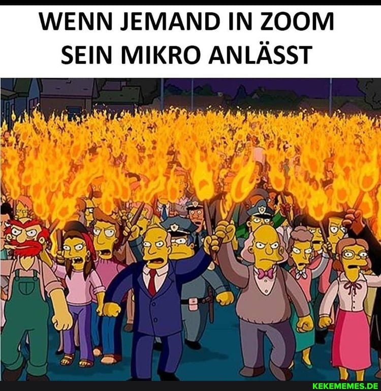 WENN JEMAND IN ZOOM SEIN MIKRO ANLÄSST
RIES