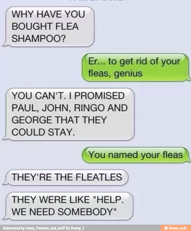 BOUGHT FLEA
I
SHAMPOO?
fleas, genius
"YOU CAN'T. I PROMISED I
PAUL, JOHN, RINGO AND
GEORGE THAT THEY
I
COULD STAY. You named your fleas À
THEY'RE THE FLEATLES WHY HAVE YOU
THEY WERE LIKE "HELP.
WE NEED SOMEBODY"