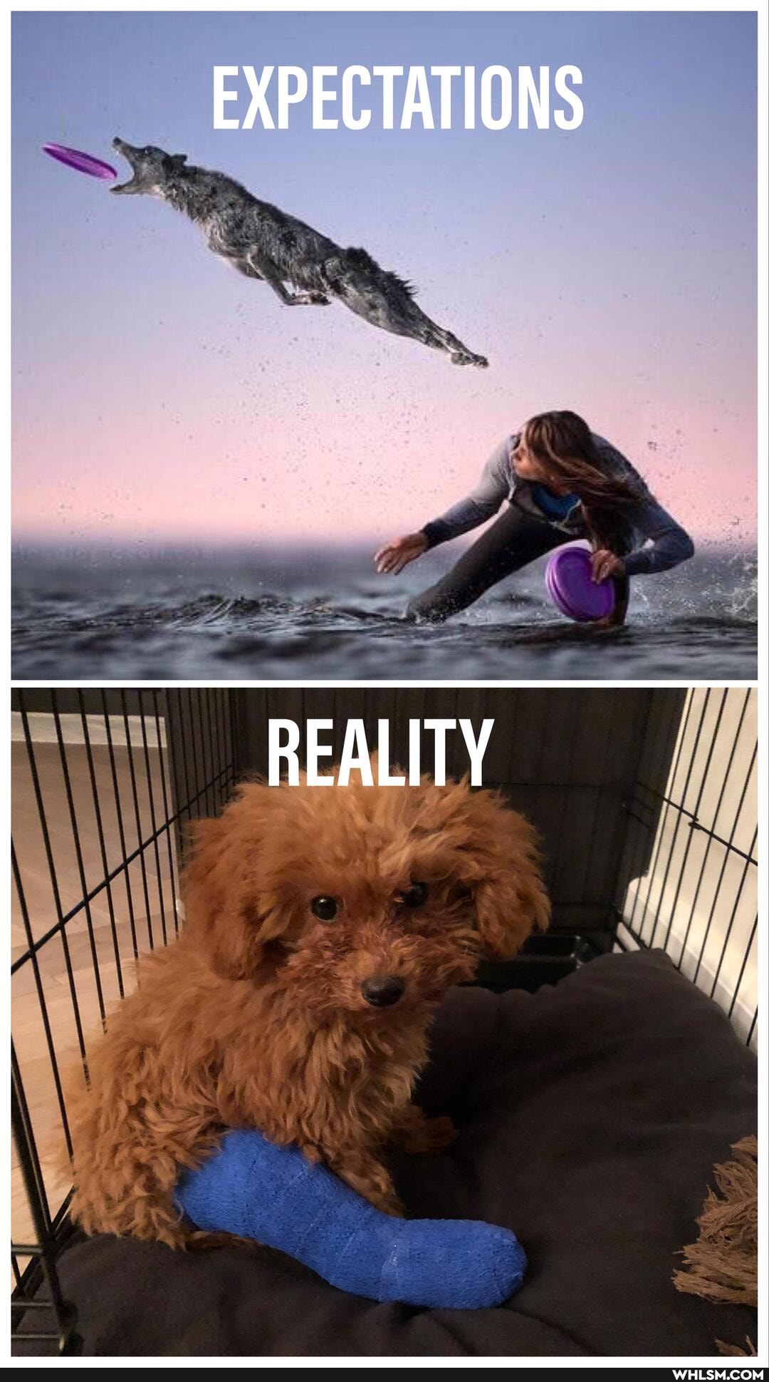 EXPECTATIONS
REALITY
