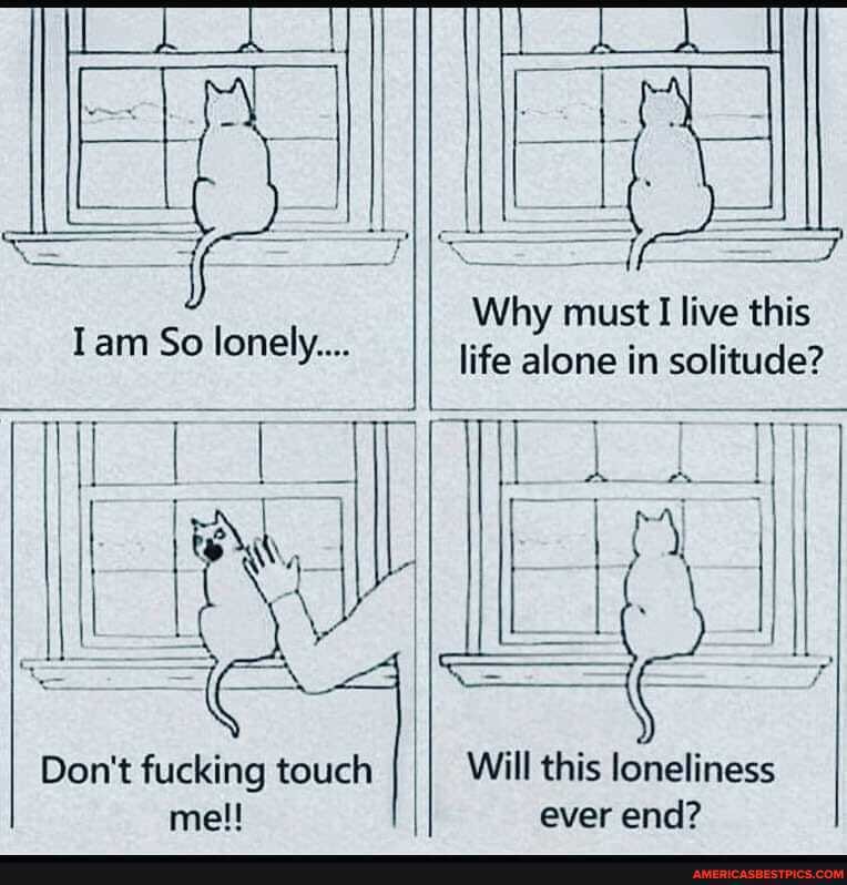 Iam So lonely...
Why must I live this life alone in solitude?
Don't fucking touch me!!
Will this loneliness ever end?