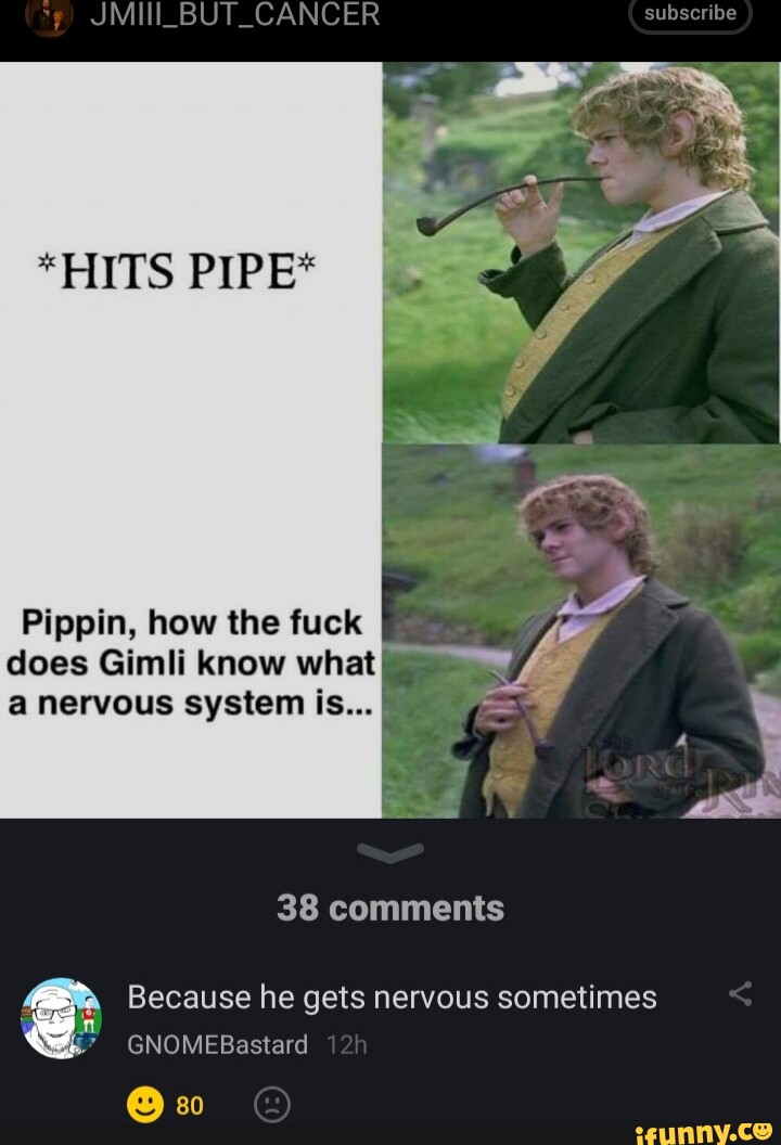 JMIII_BUT_CANCER subseribe *HITS PIPE* Pippin, how the fuck does Gimli