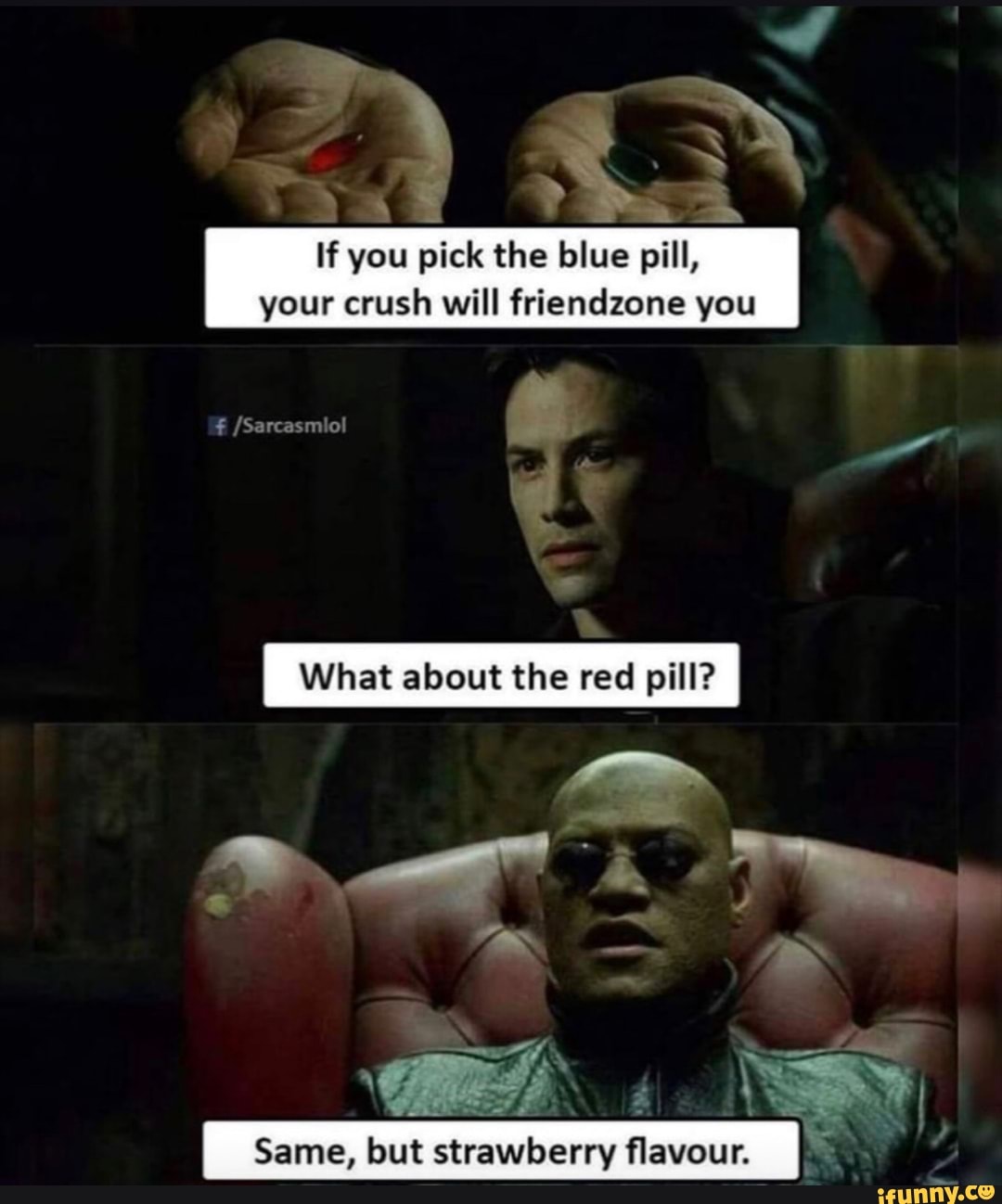 If You Pick The Blue Pill Your Crush Will Friendzone You I What About The Red Pill Same But Strawberry Flavour