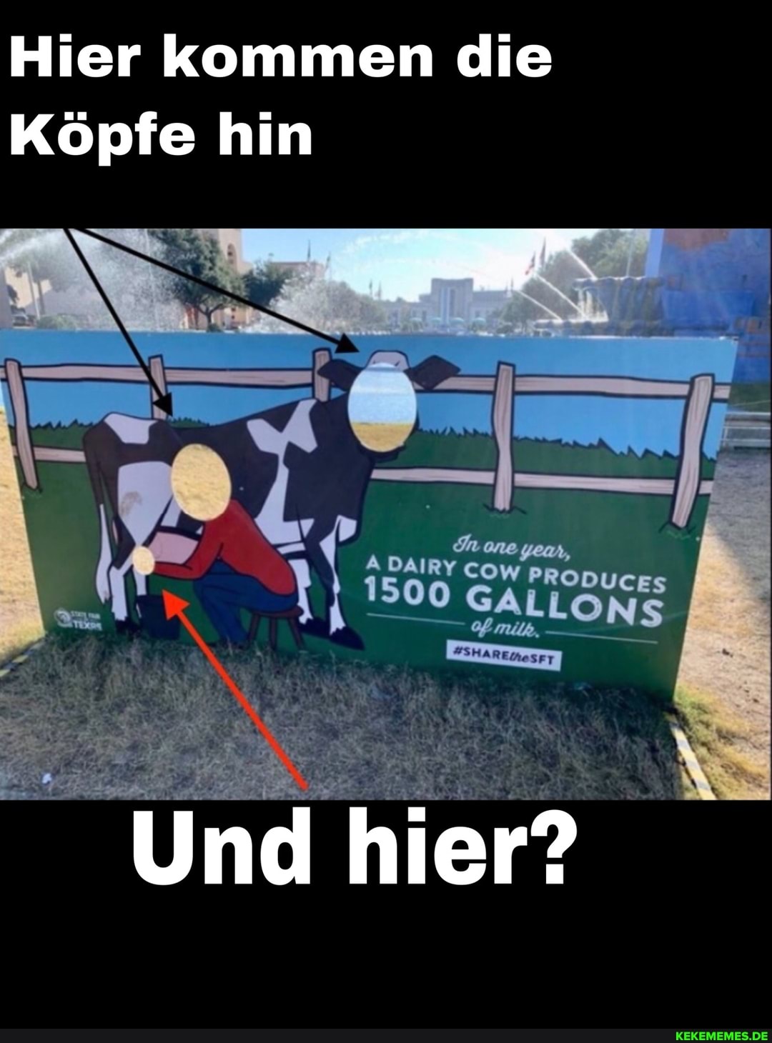 Hier kommen die
Köpfe hin
SALLONS
Und hier?