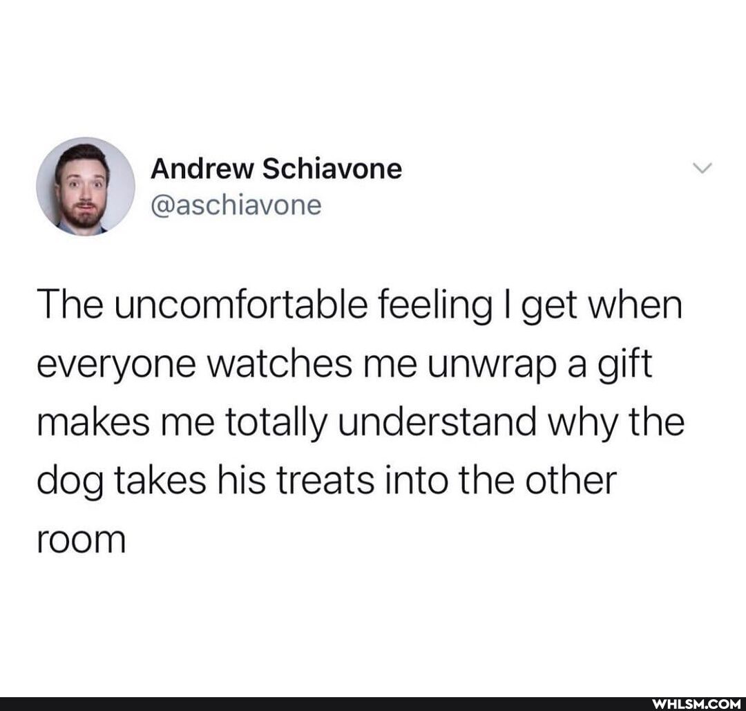 Andrew Schiavene
@aschiavone
The uncomfortable feeling I get when everyone watches me unwrap a gift makes me totally understand why the dog takes his treats into the other room