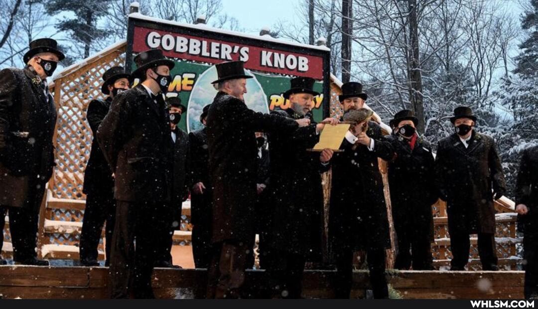 awesome, groundhog_day, groundhog, wtf