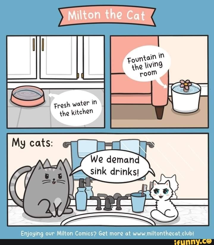 Mitton the Cat
Fresh water in
the kitchen
We demand sink drinks!
Enjoying our Milton Comics? Get more at www. milionthe