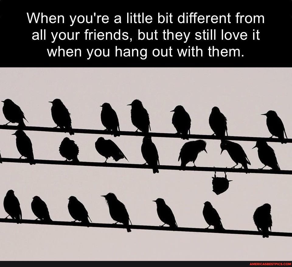 When you're a little bit different from
all your friends, but they still love it when you hang out with them.