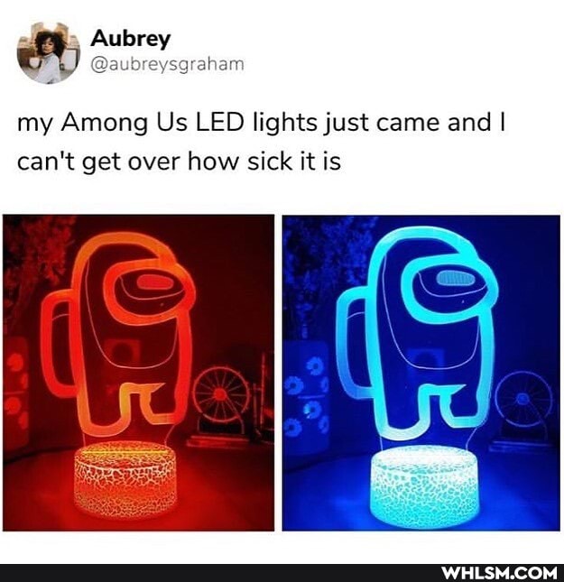 Aubrey
reysgraham
my Among Us LED lights just came and I can't get over how sick it is