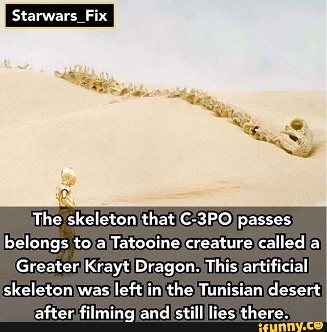 star wars krayt dragon skeleton
