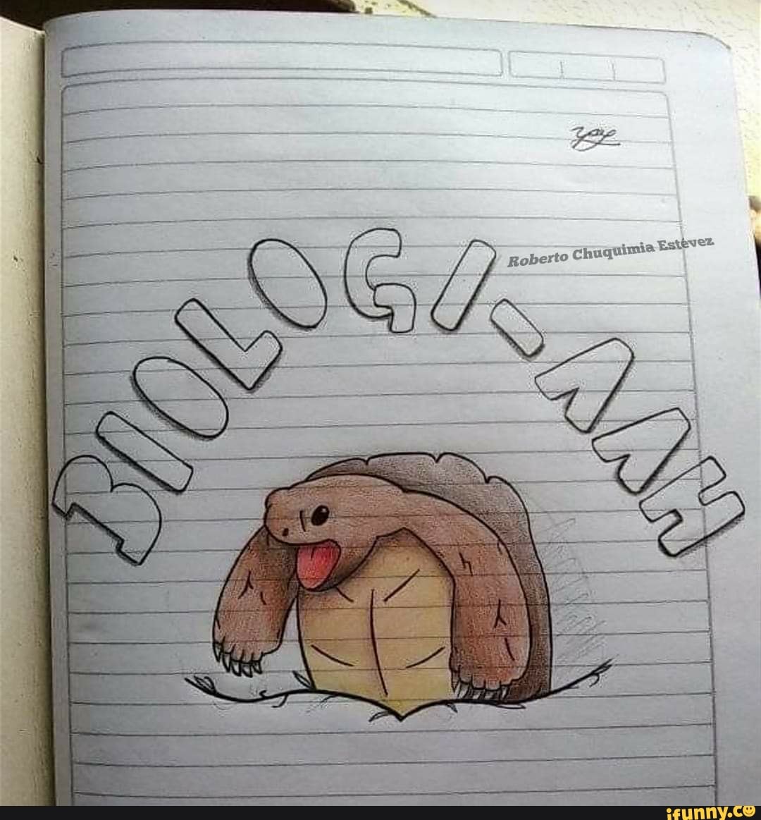 Roberto Chuquimie