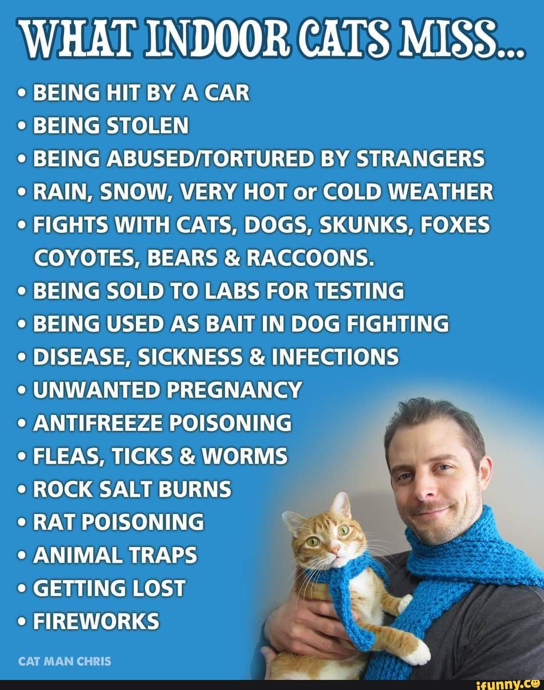 Please keep your kitties inside. 😺 WHAT INDOOR CATS MISS... BEING HIT