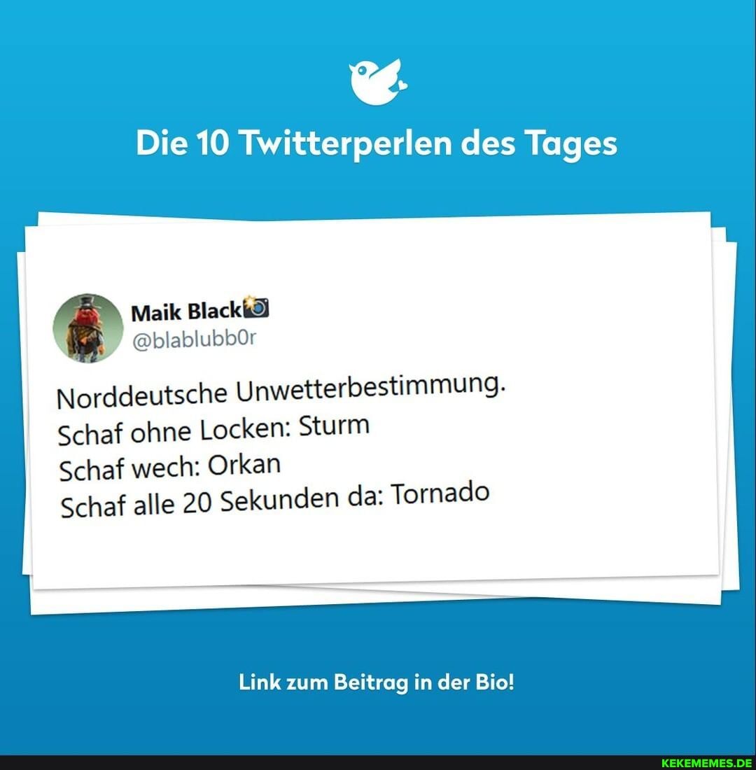 Die 10 Twitterperlen des Tages
Maik
@blablubbOr
Norddeutsche Unwetterbestimmung.
Schaf ohne Locken: Sturm
Schaf wech: Orkan
Schaf alle 20 Sekunden da: Tornado
Link zum Beitrag in der Bio!