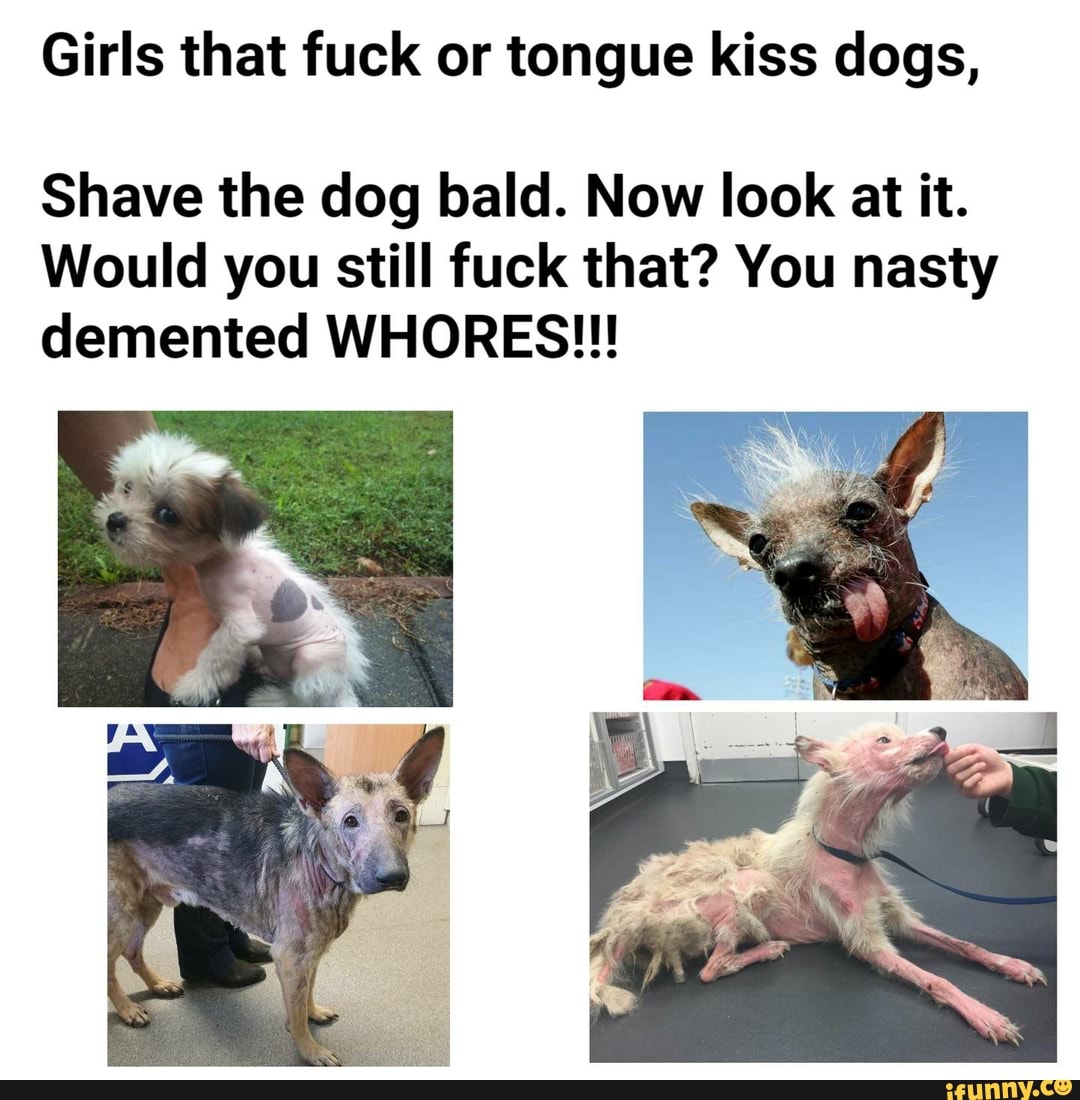 Girls that fuck or tongue kiss dogs, Shave the dog bald. Now look at it
