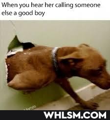 When you hear her calling someone else a good boy
