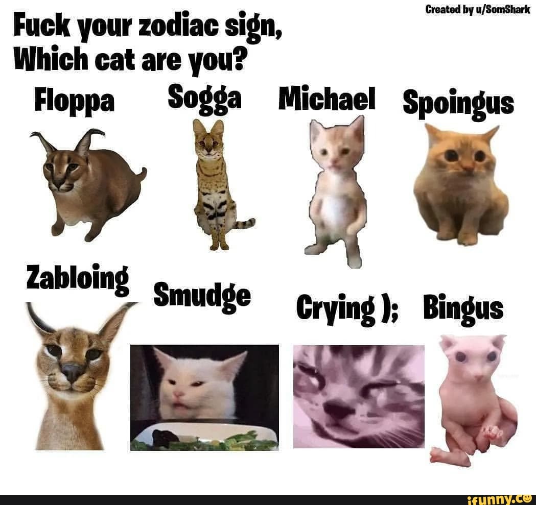 Zabloing Cat Meme - Zabloing Floppa Cat - Pillow