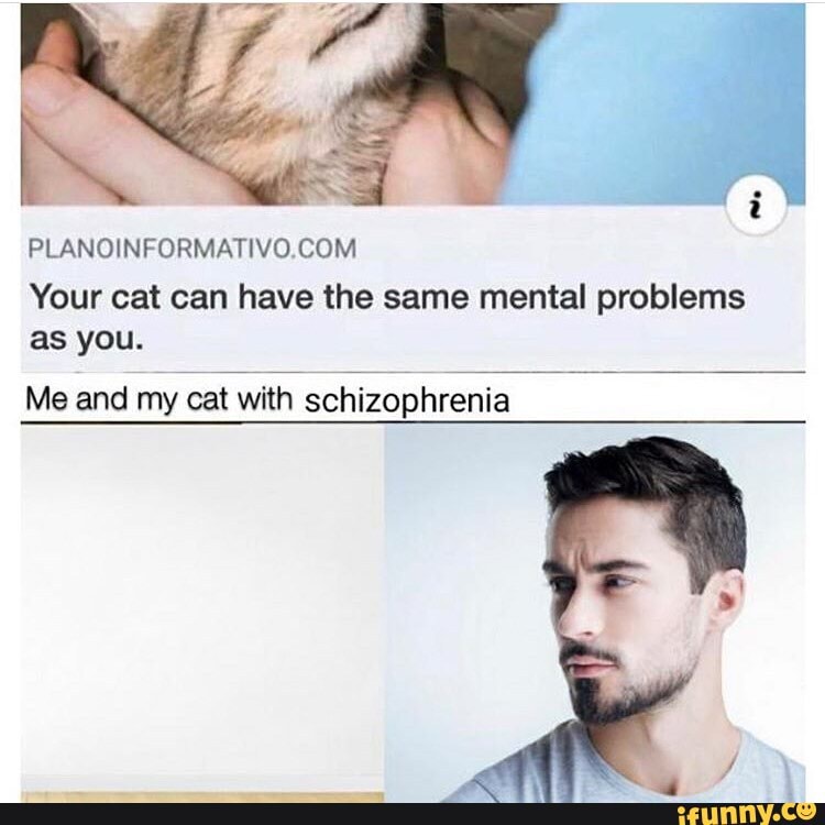 Your cat can have the same mental problems as you