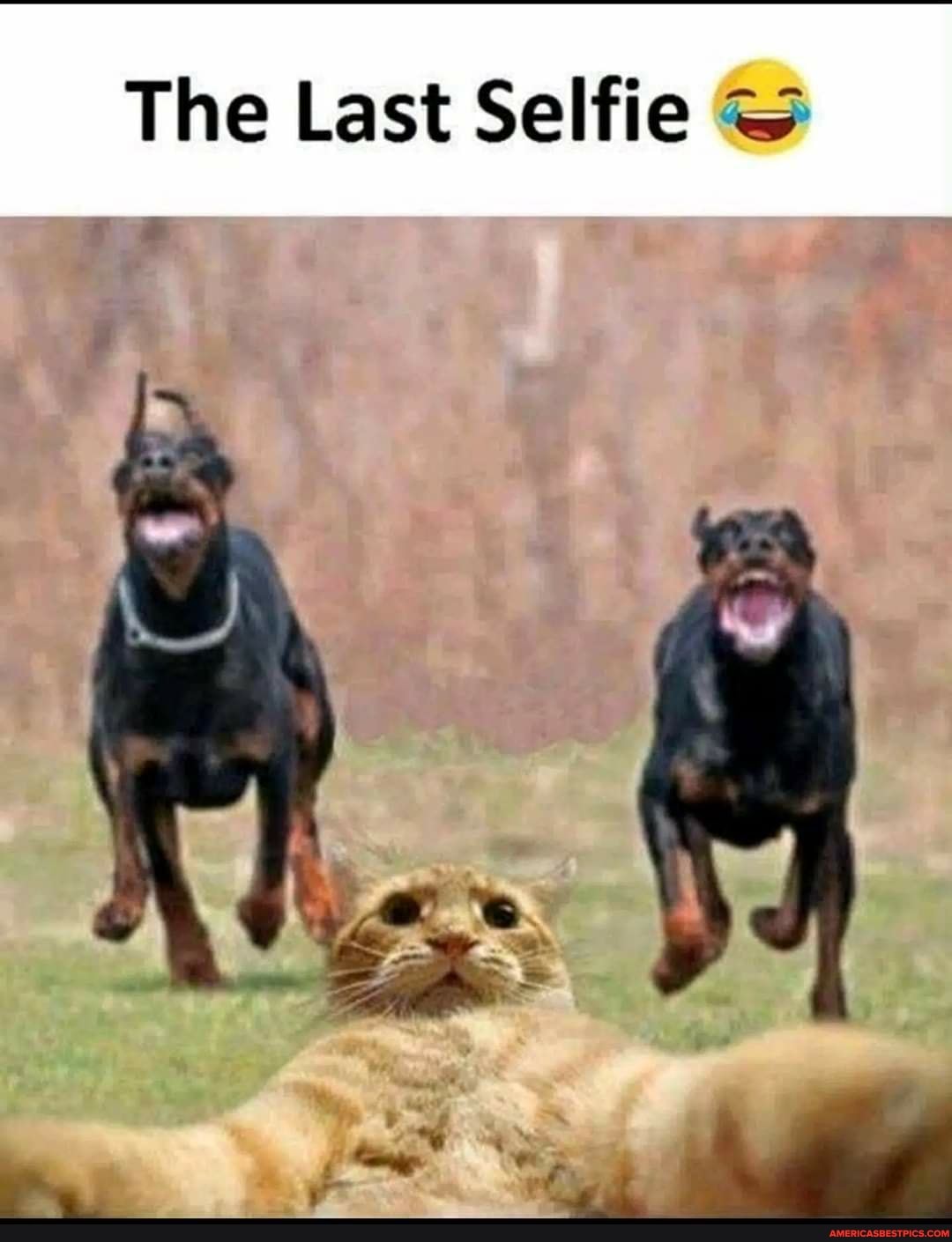 The Last Selfie
