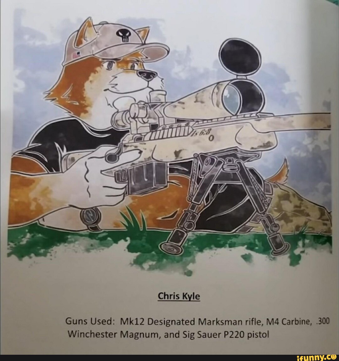 AN Chris Kyle Guns Used: Mk12 Designated Marksman rifle, Carbine, 300