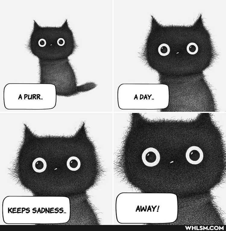 KEEPS SADNESS..