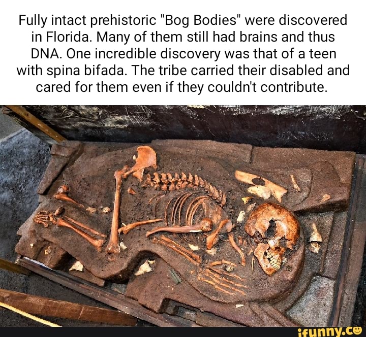 Fully intact prehistoric "Bog Bodies" were discovered in Florida. Many
