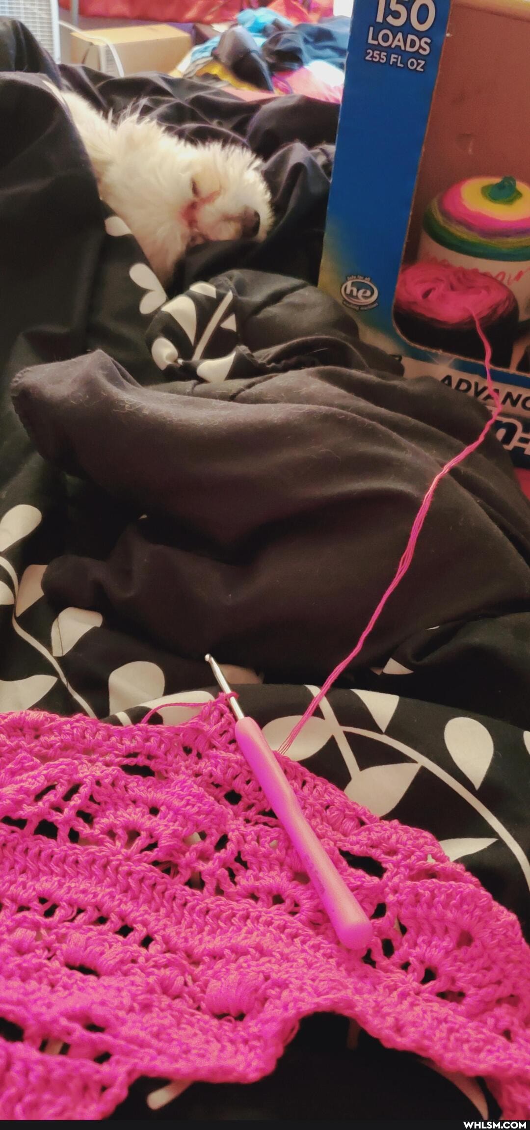pupper, dog, crochet