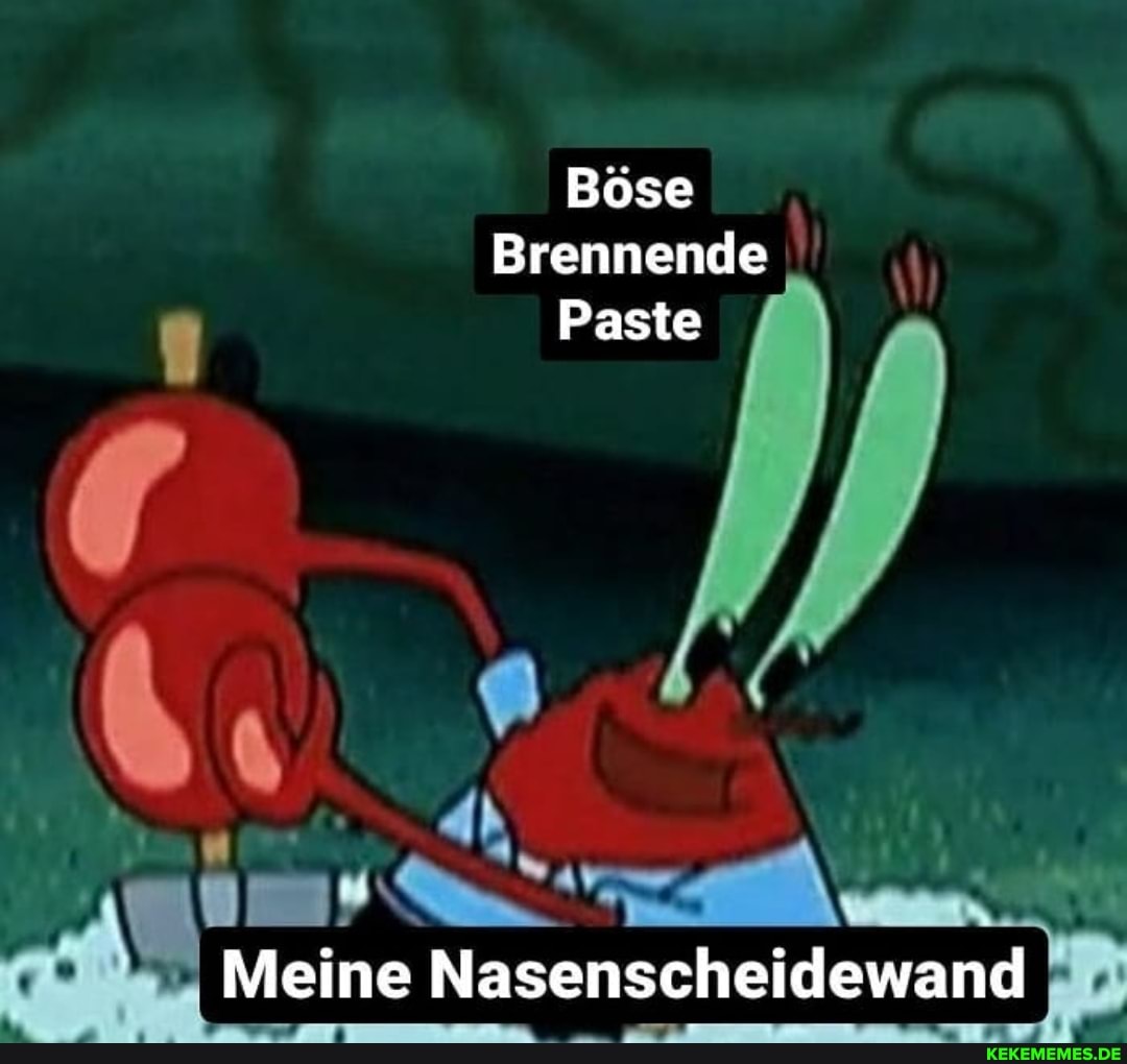 Böse
Brennende
Paste
I Meine Nasenscheidewand