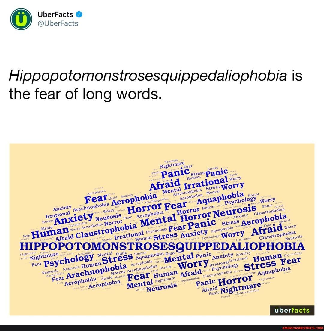 Hippopotomonstrosesquippedaliophobia memes. Best Collection of funny  Hippopotomonstrosesquippedaliophobia pictures on America's best pics and  videos