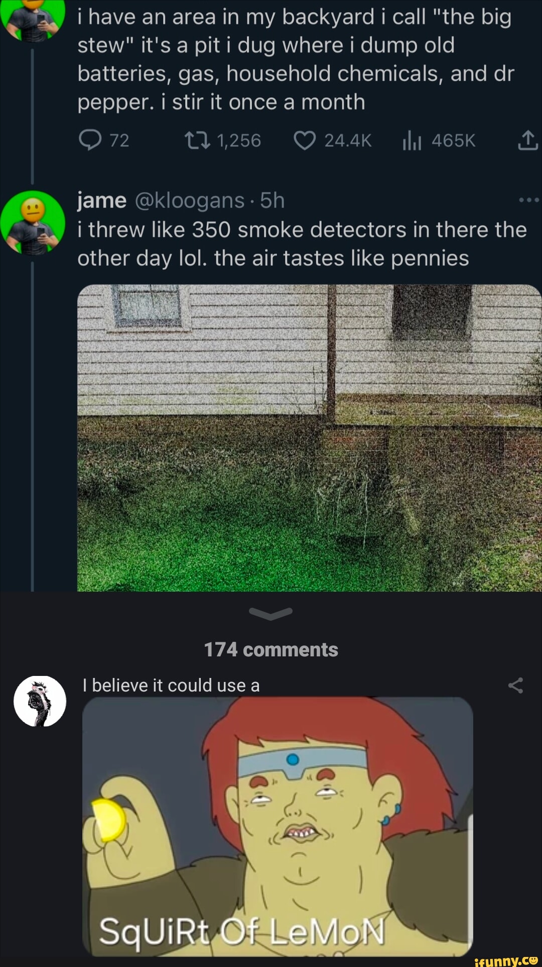 Have an area in my backyard i I call "the big stew" it's a pit i dug