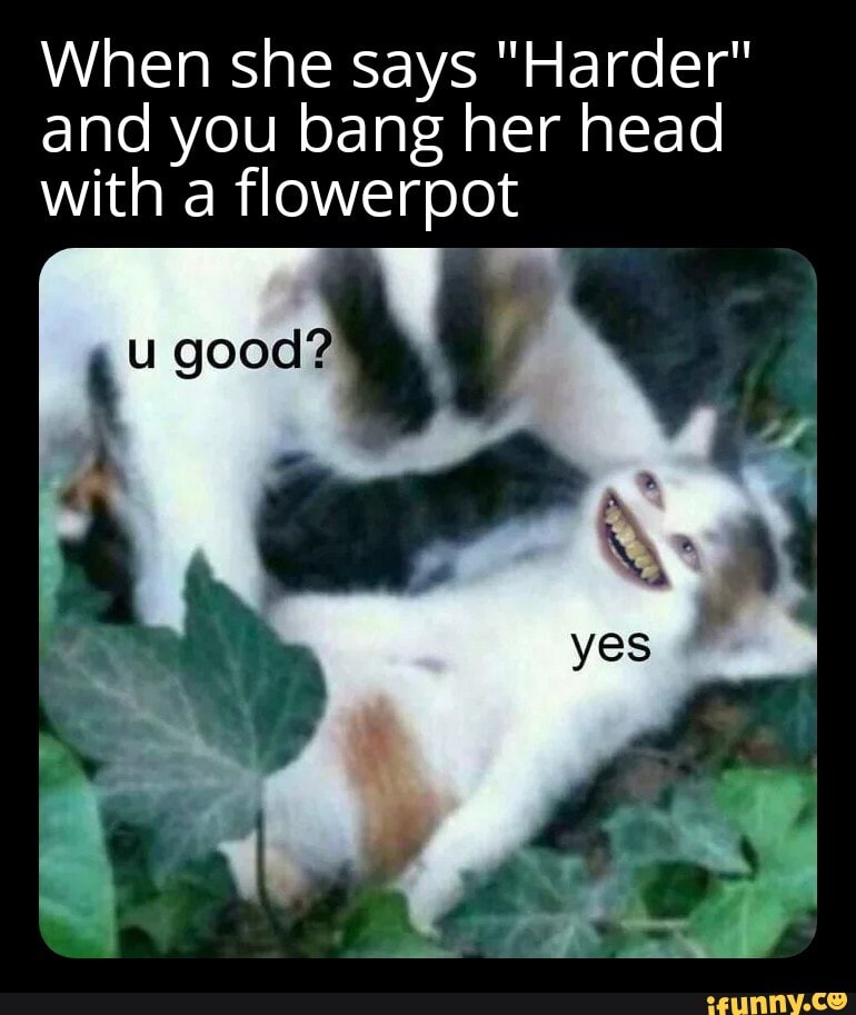 When she says "Harder" and you bang her head with a flowerpot iFunny