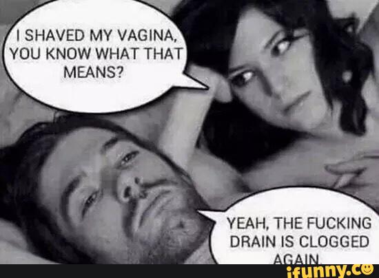 '
ISHAVED MY VAGINA.
YOU KNOW WHAT THAT
MEANS?
.,???“
YEAH. THE FUCKING
DRAIN IS CLOGGED
AGAIN