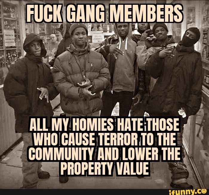 MEMBERS)
ALL MY HOMIES HATE .THOSE
WHO CAUSE TERROR TO THE I COMMUNITY AND LOWER THE