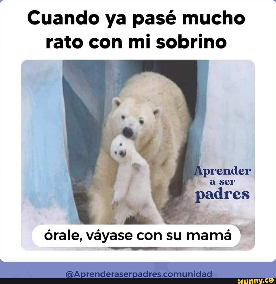 Cuando ya pase mucho rato con mi sobrino ra ra Orale, vayase con su mama  @Aprenderaserpadres.comunidad - iFunny