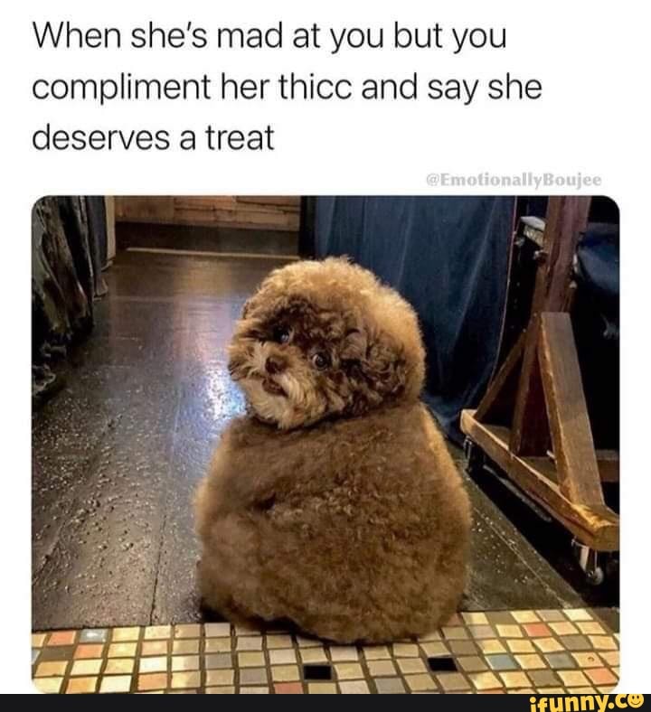 When she's mad at you but you compliment her thicc and say she deserves ...