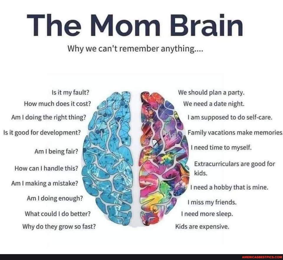 The Mom Brain Why We Can T Remember Anything Is It My Fault How Much Does